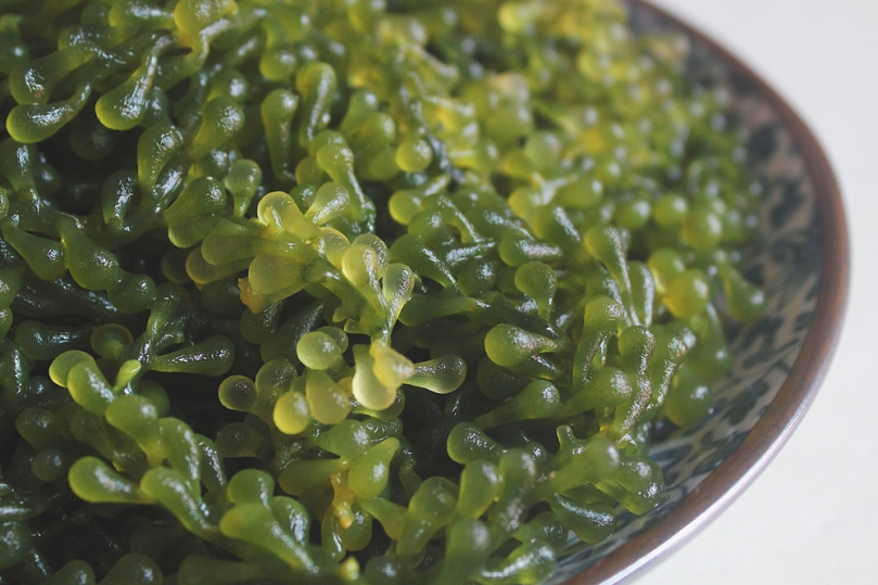 Green Caviar, Sea Grapes, Seaweed, or Lato